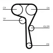 Kit de courroie crantée CONTITECH CT1167K4 - Visuel 2