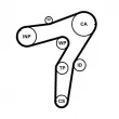Kit de courroie crantée CONTITECH CT1183K1 - Visuel 2