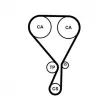 Kit de courroie crantée CONTITECH CT1228K2 - Visuel 2