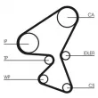 Kit de courroie crantée CONTITECH CT1230K1 - Visuel 2