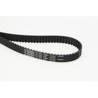 Courroie crantée CONTITECH CT1237