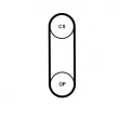 Courroie crantée CONTITECH CT1238 - Visuel 2
