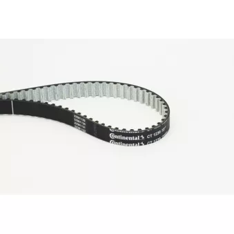Courroie crantée CONTITECH CT1239