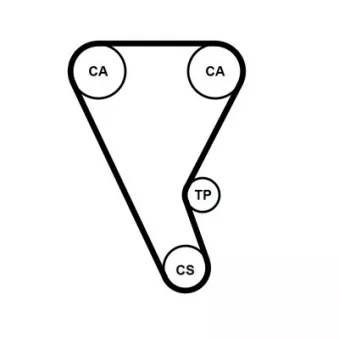 Courroie crantée CONTITECH CT1240