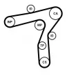 Kit de courroie crantée CONTITECH CT1241K1 - Visuel 1