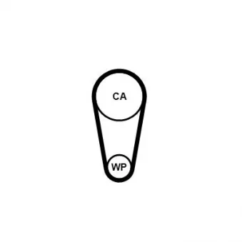 Courroie crantée CONTITECH CT1248