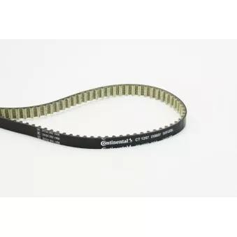 Courroie crantée CONTITECH CT1257