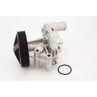 Pompe à eau CONTITECH WPS3081