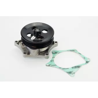 Pompe à eau CONTITECH WPS3082
