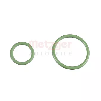 Jeu de joints, pompe d'injection METZGER 0873069