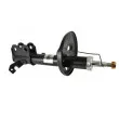 Amortisseur avant droit MAGNUM TECHNOLOGY AG2029MT - Visuel 1