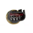 Capteur, pression de carburant METZGER 0906520 - Visuel 2
