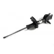 Amortisseur arrière droit MAGNUM TECHNOLOGY AG3050MT - Visuel 1