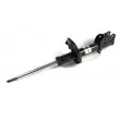 Amortisseur arrière gauche MAGNUM TECHNOLOGY AG3051MT - Visuel 1