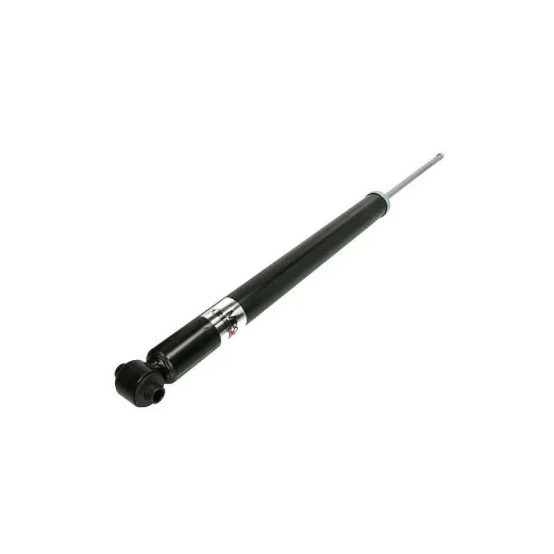 Jeu de 2 Amortisseurs arrière MAGNUM TECHNOLOGY AG3066MT