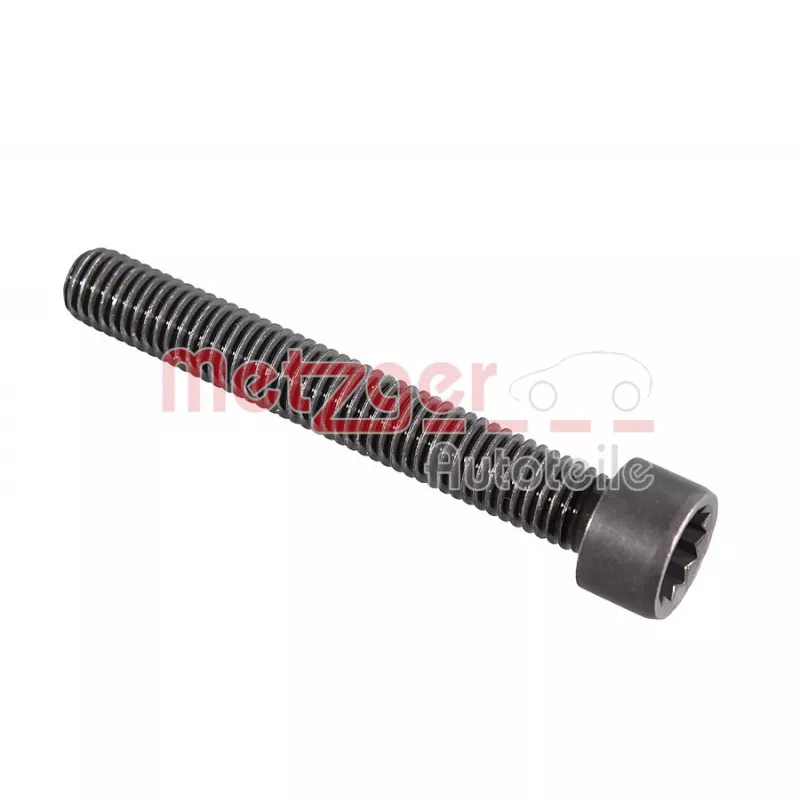 Vis, axe de culbuteur METZGER 2411066