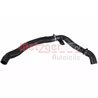 Durite de radiateur METZGER 2421828