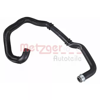 Durite de radiateur METZGER 2421894