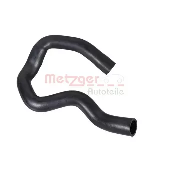 Durite de radiateur METZGER 2421898