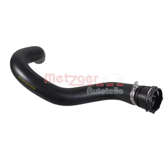 Durite de radiateur METZGER 2421899