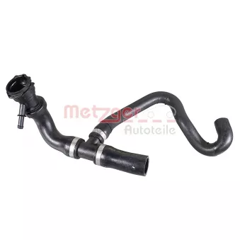 Durite de radiateur METZGER 2421903