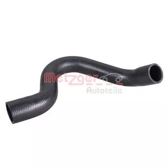 Durite de radiateur METZGER 2421906