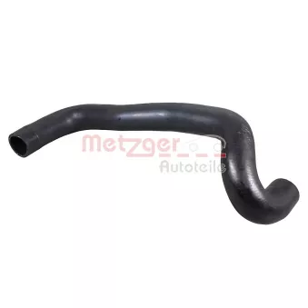 Durite de radiateur METZGER 2421922