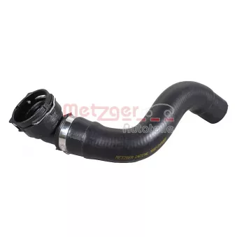 Durite de radiateur METZGER 2421941