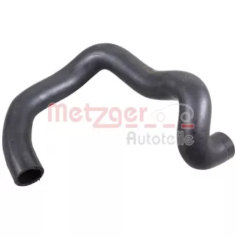 Durite de radiateur METZGER 2421943