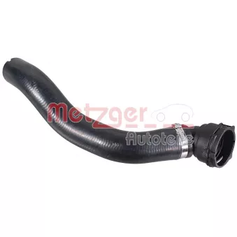Durite de radiateur METZGER 2421955
