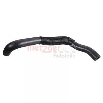 Durite de radiateur METZGER 2421960