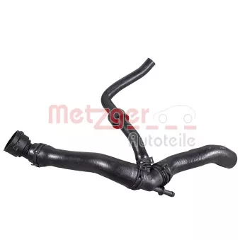 Durite de radiateur METZGER 2421974