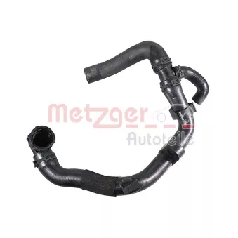 Durite de radiateur METZGER 2421983