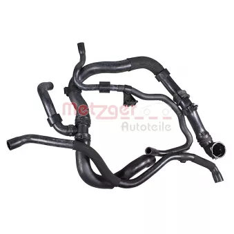 Durite de radiateur METZGER 2422004