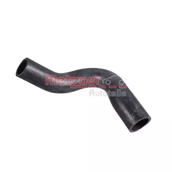 Durite de radiateur METZGER 2422043