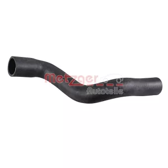 Durite de radiateur METZGER 2422099