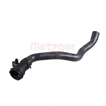 Durite de radiateur METZGER 2422186