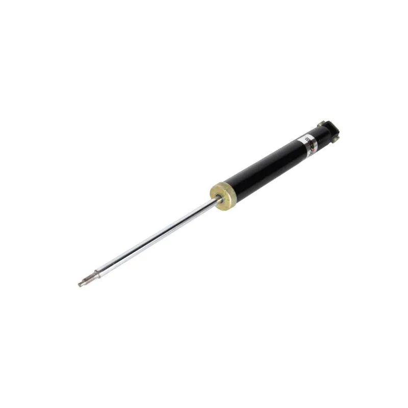 Jeu de 2 Amortisseurs arrière MAGNUM TECHNOLOGY AGC025MT
