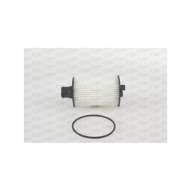 Filtre à huile OPEN PARTS EOF4262.10