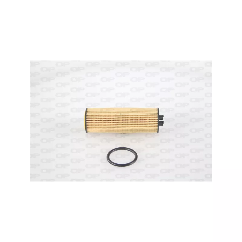 Filtre à huile OPEN PARTS EOF4276.10