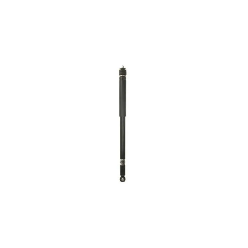 Jeu de 2 Amortisseurs arrière MAGNUM TECHNOLOGY AGF094MT