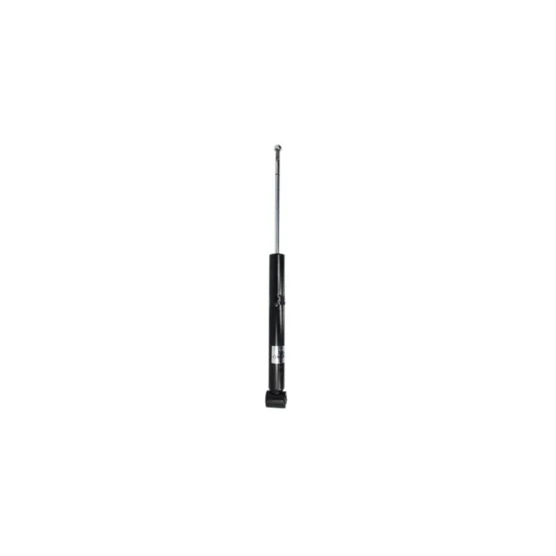 Jeu de 2 Amortisseurs arrière MAGNUM TECHNOLOGY AGW041MT