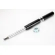 Jeu de 2 Amortisseurs avant MAGNUM TECHNOLOGY AGX013MT - Visuel 1