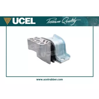 Support moteur UCEL 31917