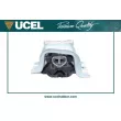 Support moteur UCEL 31917 - Visuel 3
