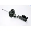 Amortisseur avant droit MAGNUM TECHNOLOGY AGX092MT - Visuel 1