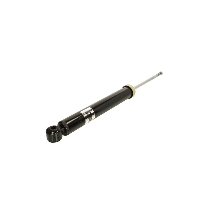 Jeu de 2 Amortisseurs arrière MAGNUM TECHNOLOGY AGX094MT