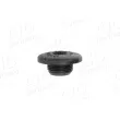 Vis, bouchon de radiateur AIC 52857 - Visuel 1