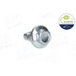 Vis-bouchon, carter d'huile AIC 56426 - Visuel 1