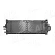 Radiateur, refroidissement du moteur AIC 74183 - Visuel 2